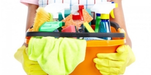 Как избавиться от плесени на стенах в квартире