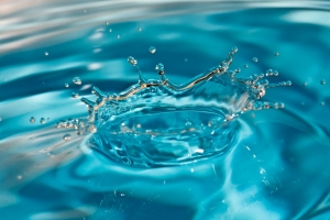 УЖКХ разъясняет плату за отведение сточных вод на СОИ